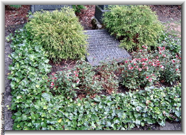 Bilder: Gnter Strack