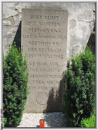 Bilder: 11.07.2006