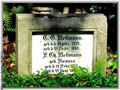 bellmann_cg3_gb