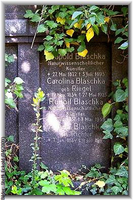 Bilder: Steffi Eckold (04/2009)