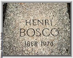 bosco2gb
