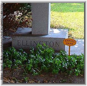 Bilder: Sean C. flickr.com/photos/17647362@N00/274061755/