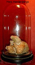  Das Herz Hardenbergs (aufbewahrt hinter dem Altar)