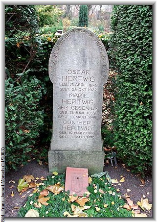 Bild: Franz Joesef Mrsch (11/2003)
