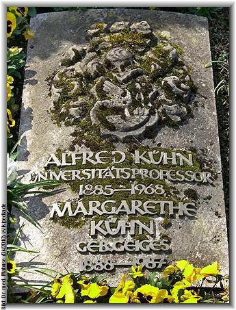 Bild: Dr. med. Mabuse (04/2010) Wikipedia.de