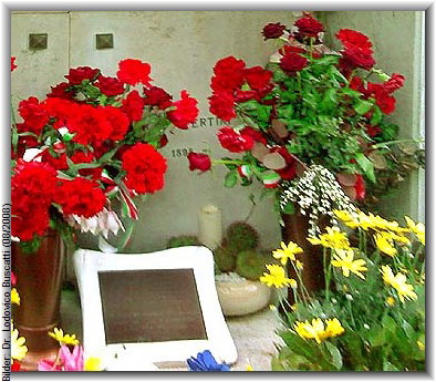Bilder: Dr. Lodovico Buscatti (08/2008)