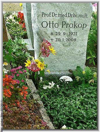 prokop_otto_gb