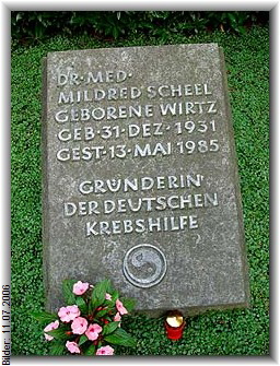 Bilder: 11.07.2006