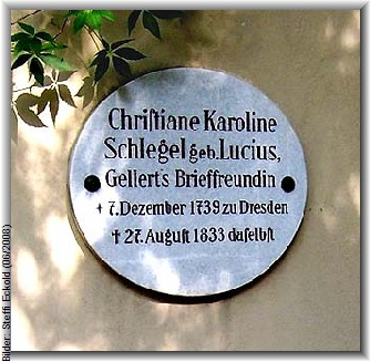 Bilder: Steffi Eckold (06/2008)