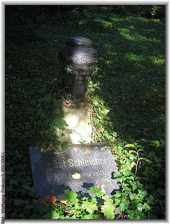 Bild: Wolfgang Prokosch (08/2006)