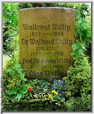 wittig_georg2_gb