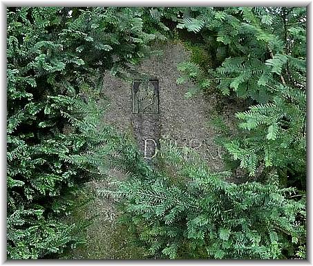 Bilder: Parsifal von Pallandt (01/2018)