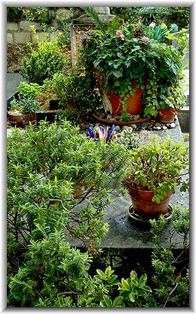 duras_marguerite1_082023_gb