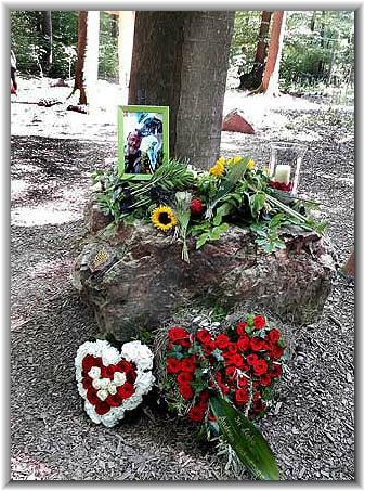 Bild: KN (09/2018)