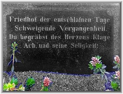 Bilder: Parsifal von Pallandt (06/2020)