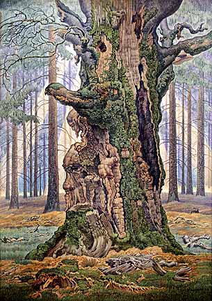koenig_albert_heiligbuche_bild