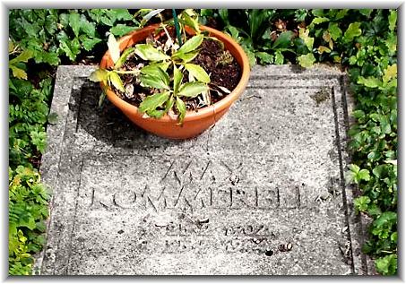 Bilder: Thomas Haas (06/2014)
