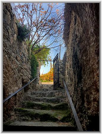 prophetengraeber_jerusalem_oelberg_blick nach drauen