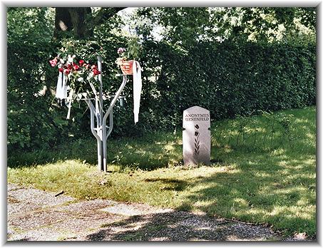 Bikd: Matthias Bauer (2005)