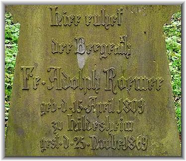 Bilder: Delef Bhre (10/2014)