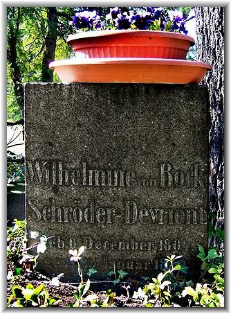 Bilder Steffi Eckold (04//2009)