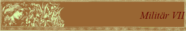 Militr VII