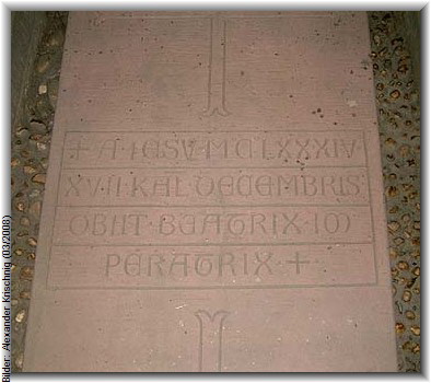 Bilder: Alexander Krischnig (03/2008)