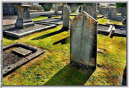 Bild: Marcovanhogan (06/2010) Wikipedia.org