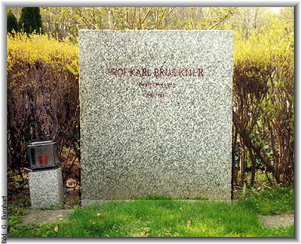 Bild: G. Burghart