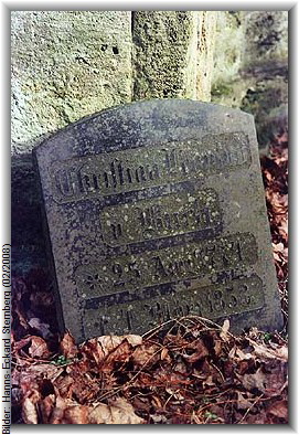 Bilder: Hanns-Eckard Sternberg (02/2008)