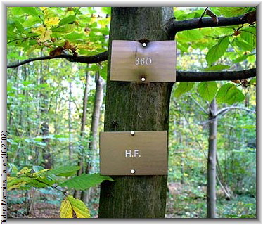 Bilder: Matthias Bauer (10/2007)
