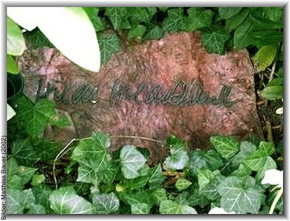 Bilder: Matthias Bauer (2002)