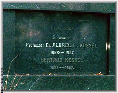 Bilder: Klaus Beneke