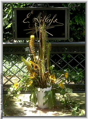 Bilder: Josef Aschenbrenner (07/2005)