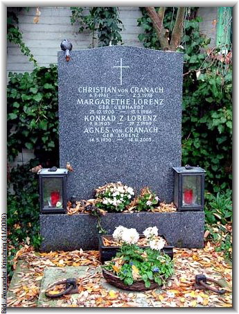Bild: Alexander Krischnig (11/2006)