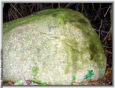 Bilder: Matthias Bauer (08/2006)
