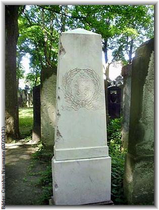 stern_julius_rueckneu_gb1
