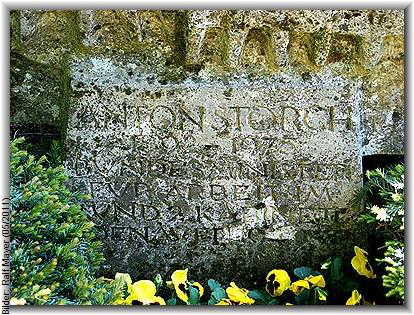 storch_anton2_gb
