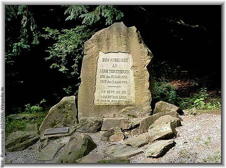 Bild:  Ruesterstaude (05/2006) Wikipedia.de