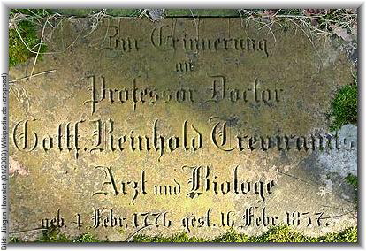 Bild: Jrgen Howaldt (01/2009) Wikipedia.de (cropped)