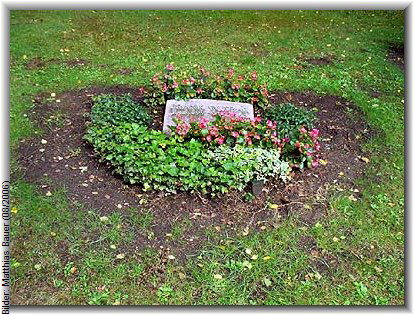 Bilder: Matthias Bauer (08/2006)