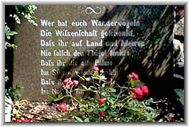 Bilder: Claus Harmsen (stones&art, 05/2009)
