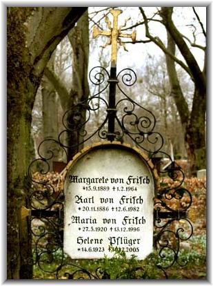 Bilder Claus Harmsen (stones & art, 04/2013)