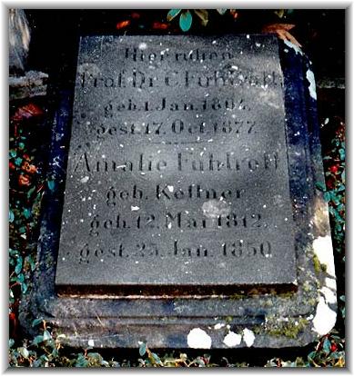 Bilder: Matthias Bauer-Pleiner (03/1996)