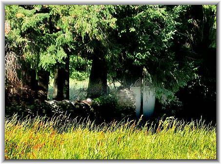 Bilder: Bernd Wolter (05/2014)
