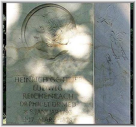 Bilder: Steffi Eckold (05/2012)