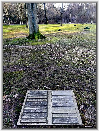 Bild: Parsifal von Pallandt (02/2024)