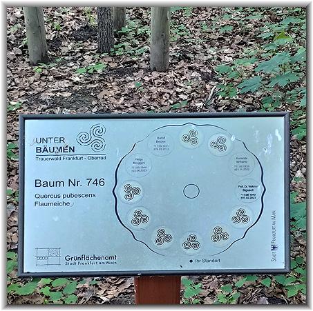 Bilder: Gnter Bihn (10/2024)