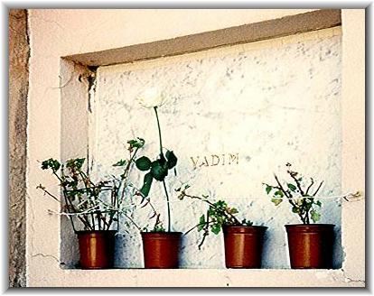 Bilder: Matthias Bauer-Hrer (08-2000)
