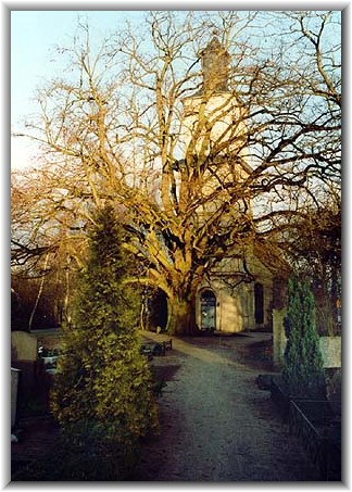Bilder: Hanns-Eckard Sternberg (1998)